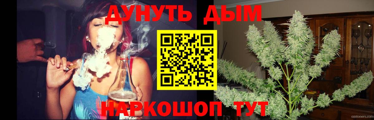 Каннабис сатива Губкинский